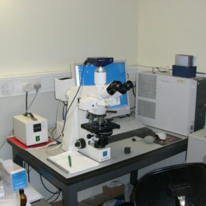 Microscope - Olympus